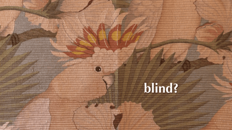 Blind